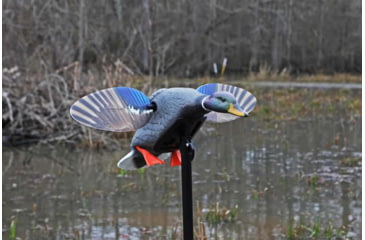 Image of Mojo Elite Series Mini Mallard Drake Decoy HW24703P