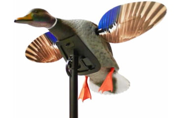 Image of Mojo Mallard Elite Series Mini Mallard Drake Decoy, Plastic, HW24703P