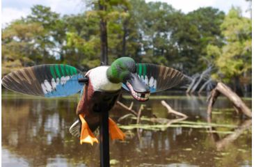 Image of Mojo Elite Series Spoonzilla Mallard Drake Decoy