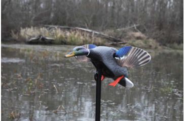 Image of Mojo Mini Mallard Drake Decoy, Elite Series, HW2470