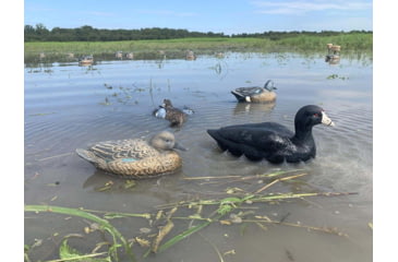 Image of Mojo MOJO Coot Confidence Decoys
