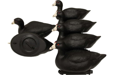 Image of Mojo MOJO Coot Confidence Decoys