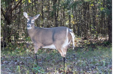 Image of Montana Decoy Co. Trixie Whitetail Doe Decoy, Brown, 53