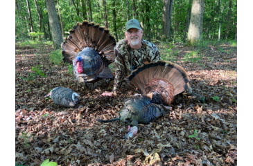 Image of Montana Decoy Co. Wiley Tom 3D Turkey Decoy, Multi, 44