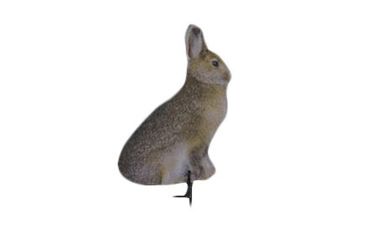 Image of miss hoptober decoy