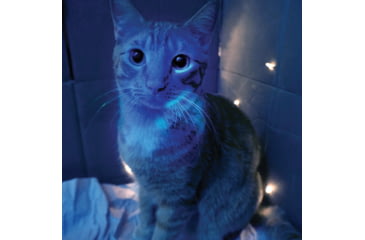 Image of Nextorch Dr. K3 UV Pen Light