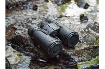 Image of Nikon M7 10 x 30 Roof Prism Binoculars, Black, 16764