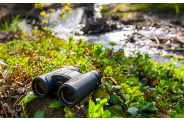 Image of Nikon PROSTAFF P7 8x42mm Binocular, Roof Prism, Black, 16772