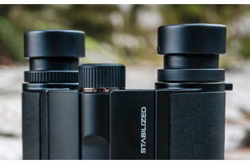 Image of Nikon STABILIZED 10x25mm S Roof Prism Binoculars, Black, 16782