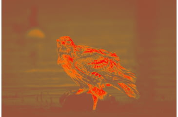 Image of Owlset MCC10 Monocular