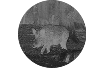 Image of Owlset MCC10 Monocular