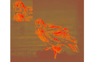 Image of Owlset MCC10 Monocular