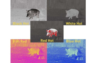 Image of Owlset MCC10 Monocular