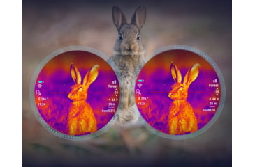 Image of PARD Optics TS36 Thermal Imaging Rifle Scope, 3.7x35mm, 600x480, Multiple Reticles, Black, TS36-35