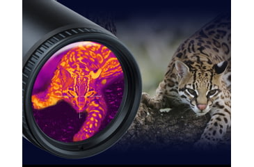 Image of PARD Optics TS36 2.2x35mm Thermal Imaging Rifle Scope, Black, TS36-35