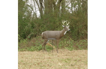 Image of Primos Hunting SCAR Deer Decoy, Box, 62601