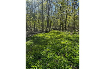 Image of RaKK Fuel Groundwork 1/2 Acre, Large, 7518