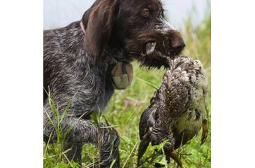 Image of SafeShoot Non Shooter,NS Defender Backpack w/ Pouch, DF-02-US