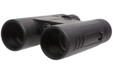 Image of SIG SAUER Buckmaster 10x42mm Roof Prism Binoculars, Black, SOBM10421