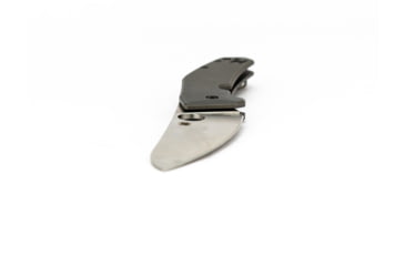 Image of Spyderco SpydieChef Folding Knife, Titanium, C211TIP