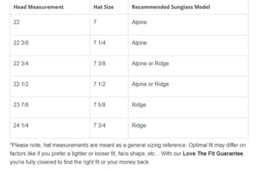 Image of STNGR Alpine Ballistic Sunglasses, Matte Black/Smoke, Medium/Large, AB-RHXL-VD4N