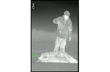 Image of ATN Thor320-9x 320x240, 100mm, 60Hz, 17 micron Thermal Imaging Weapon Sight TIWSMT329A