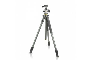 Image of Vanguard Alta Pro 2+ 263AB 100 Aluminum Tripod with Ball Head and Multi-Angle Center Column, Gray, Alta Pro 2+ 263AB 100
