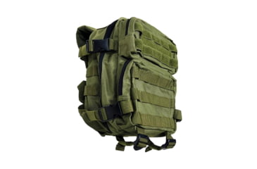 Image of VISM Every Day Pack, Green, CVEDP3056G