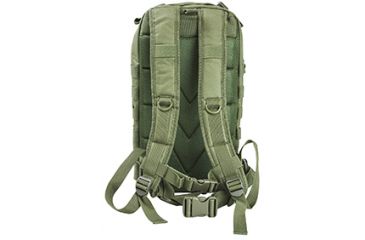 Image of VISM Small Backpack/Green CBSG2949