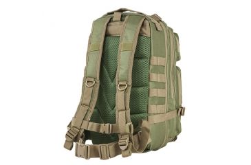 Image of VISM Small Backpack, Green with Tan Trim CBSGT2949