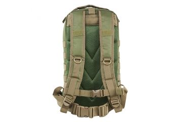 Image of VISM Small Backpack, Green with Tan Trim CBSGT2949