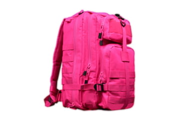 Image of VISM Small Backpack, Pink, CBSP2949