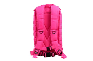 Image of VISM Small Backpack, Pink, CBSP2949