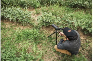 Image of Vortex Crossfire HD 12-36x50 Spotting Scope, Angled, Green, CF-50A