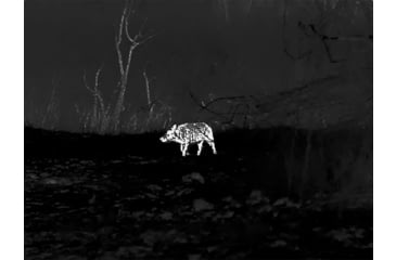 Image of Vortex Veil 400 2.3x25mm Thermal Monocular, 400x300 pixels, 50Hz, Black/Grey, TML-VEIL425