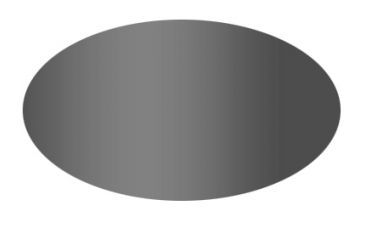 Image of Wiley X Replacement Lenses - Smoke Gray *Only Lenses* 