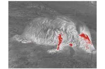 Image of X-Vision Wide View 1-4x6.8mm Thermal Relfex Sight, 4 Patterns And 4 Color Reticle, 25 Hz, 240x210, Black, Medium, TRW1
