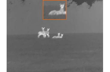 Image of X-Vision XVT Thermal Monocular, Black, Small, TM1