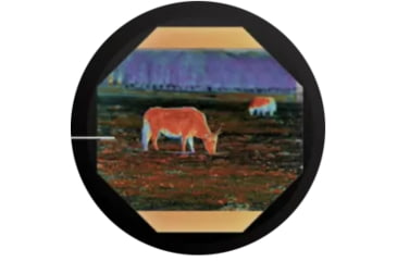 Image of Shinenyx AIM1C 384 3.6x98mm Thermal Imaging Rifle Scope, 384x288, Black, AIM1C