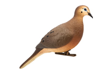 Image of Zink Full Body Dove Decoys, 4 Pk, 1410678