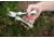 AccuSharp 084C Gardeners Multi-Tool Black/Green Folding Plain