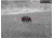 AGM Global Vision Varmint LRF TS50-384 Thermal Imaging Rifle Scope W/Laser Range Finder, 4-32x50mm, 384x288, 50Hz, Black, 8.5 3.1 4.2, 3142455306RA51