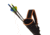Allen Compact Back Quiver, Black/Hot Green, 7036