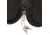 Allen Endura Locking Handgun Case, Black, 11 inch