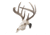 Allen EZ Mount Skull Hanger, Fixed, Black, 7227