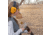 Allen Company ULTRX Keen, Safety Glasses, Yellow/Black, 4185