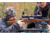 Alpen Apex 2.5-15 x 50 mm Rifle Scope, 30mm Tube, Picatinny, 100 mm, Matte Black, Medium, 4012