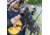 Alpine Archery Bear Claw 5 Arrow Quiver