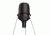 American Hunter Swine Shine Hog  Light, AH-HOGLITE