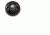 American Hunter Swine Shine Hog  Light, AH-HOGLITE